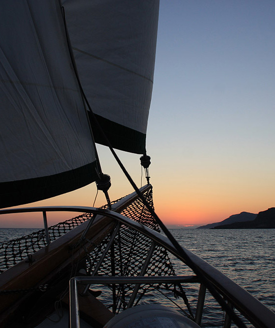 Shared - Sunset Adonis